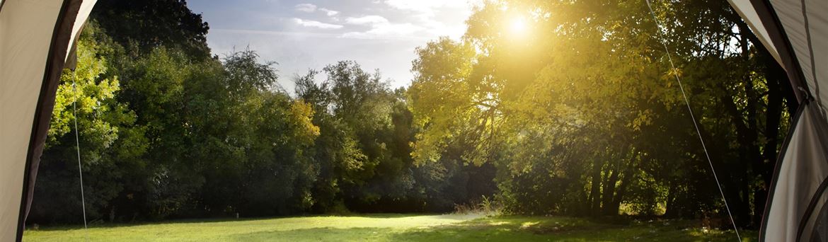 New Camping Insider Website