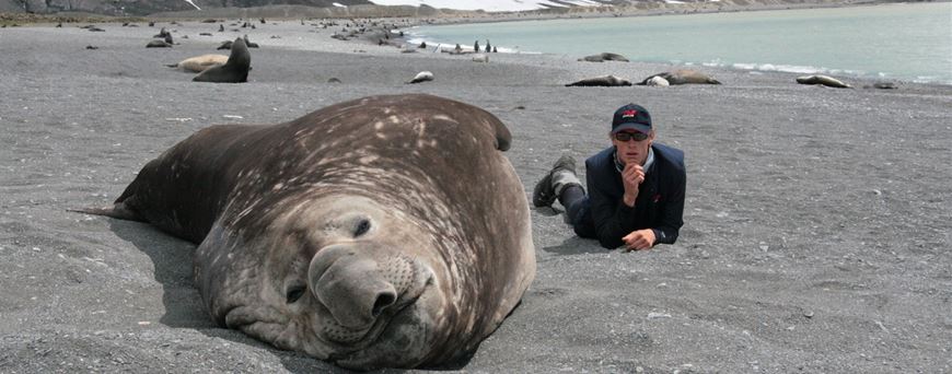 George Bullard and an elephant seal